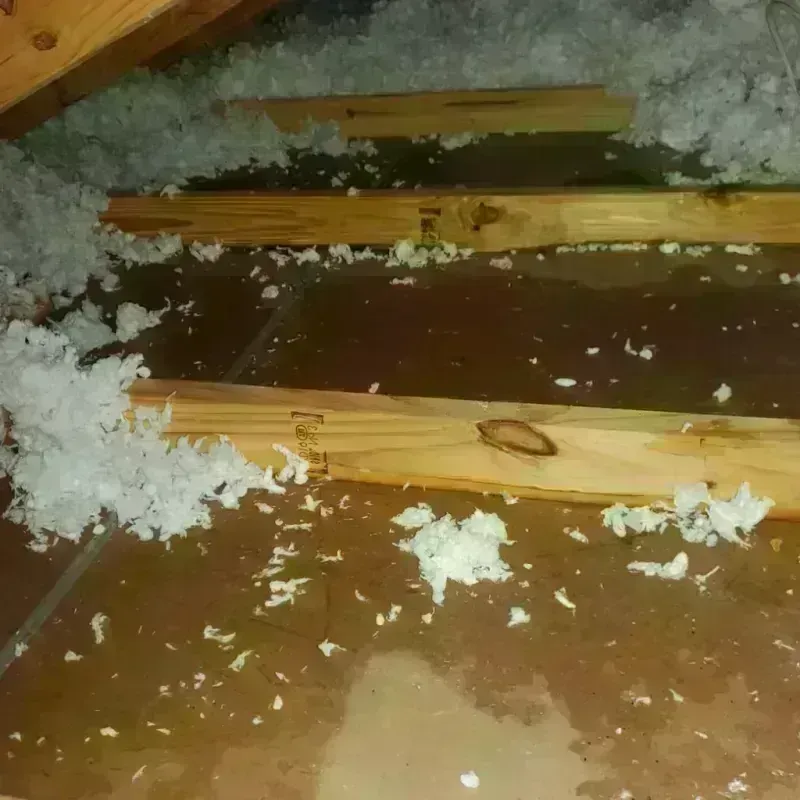 Attic Water Damage in Rockland, MA